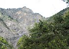 Nord - Gorge du Manival : Chartreuse, Walks