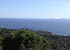 Collebasse , SSO - Ile du Levant : Provence, Walks