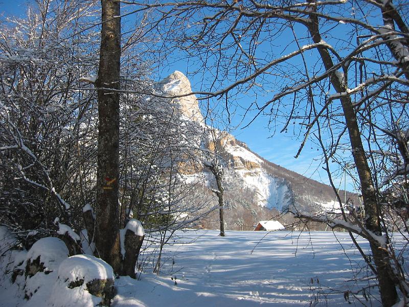 IMG_6729.JPG - La Dent de Crolles, vue du Baure